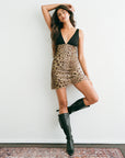Aemma Mesh Dress-