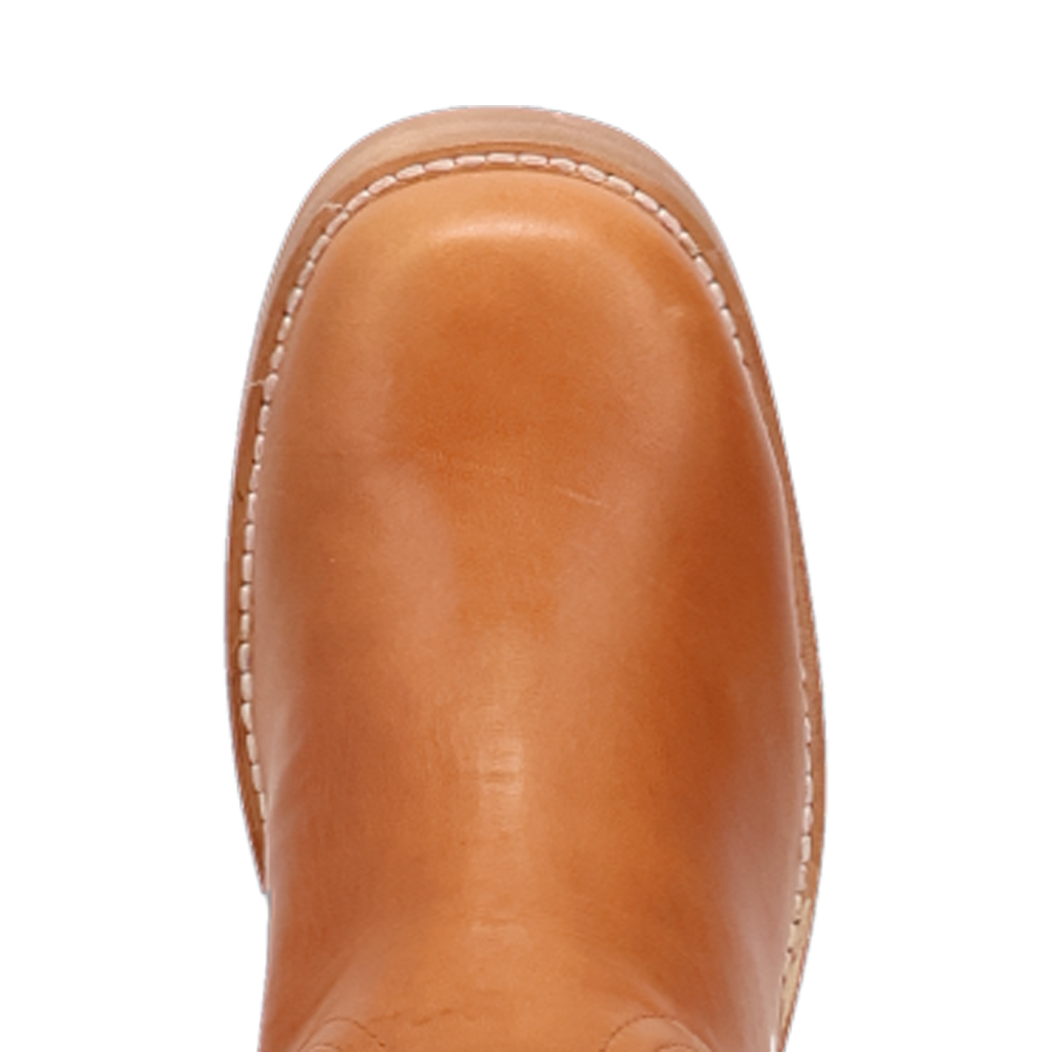 Avalon - DI2288-BN97 - Tan