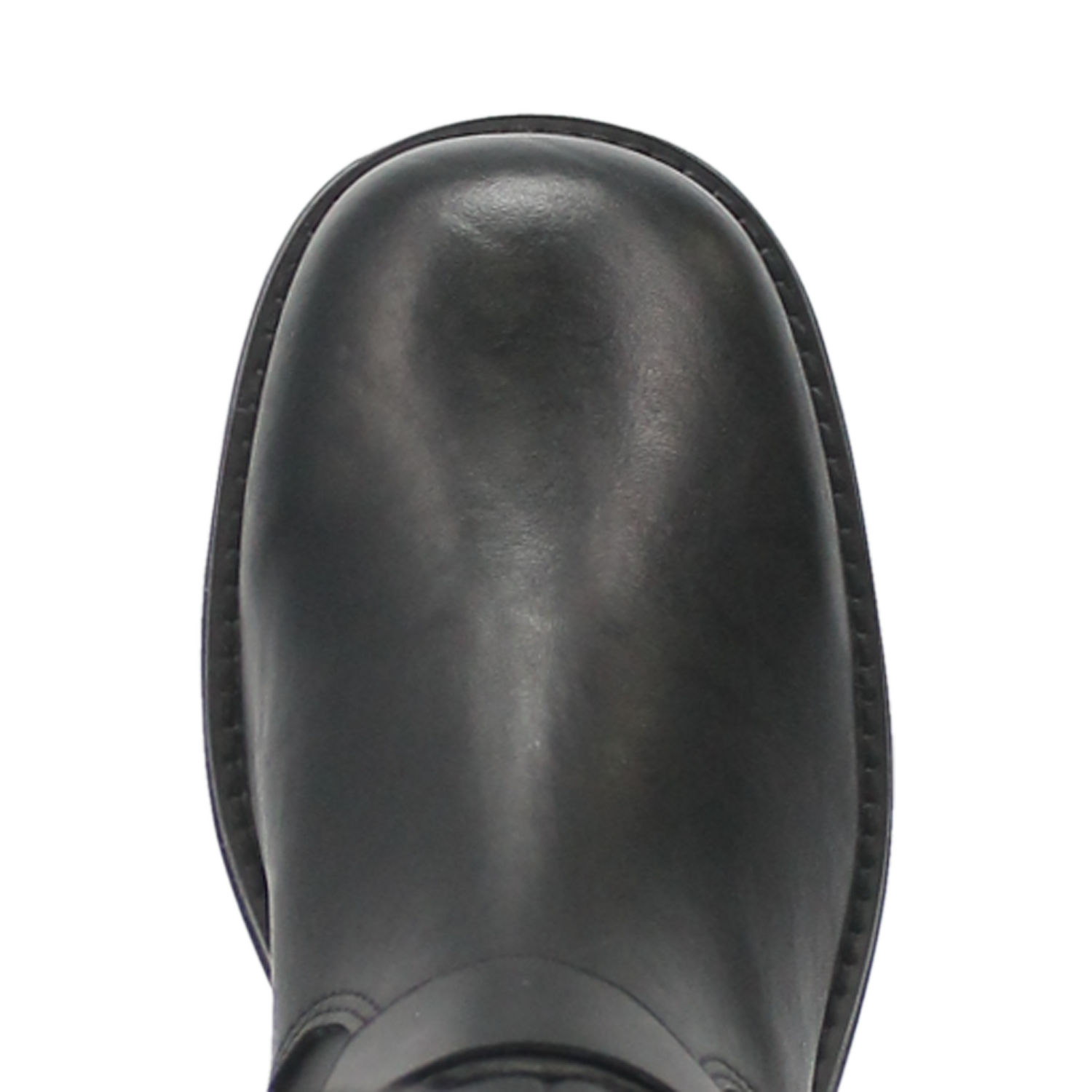 Wild N' Free - DI206 - Black 