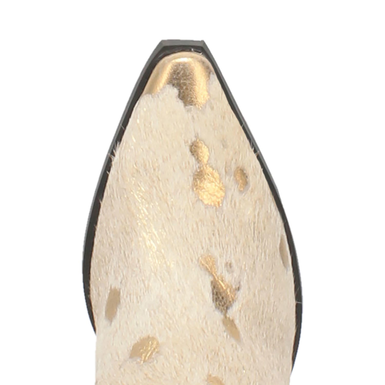 Giddy Up- Dingo- Gold-DI266