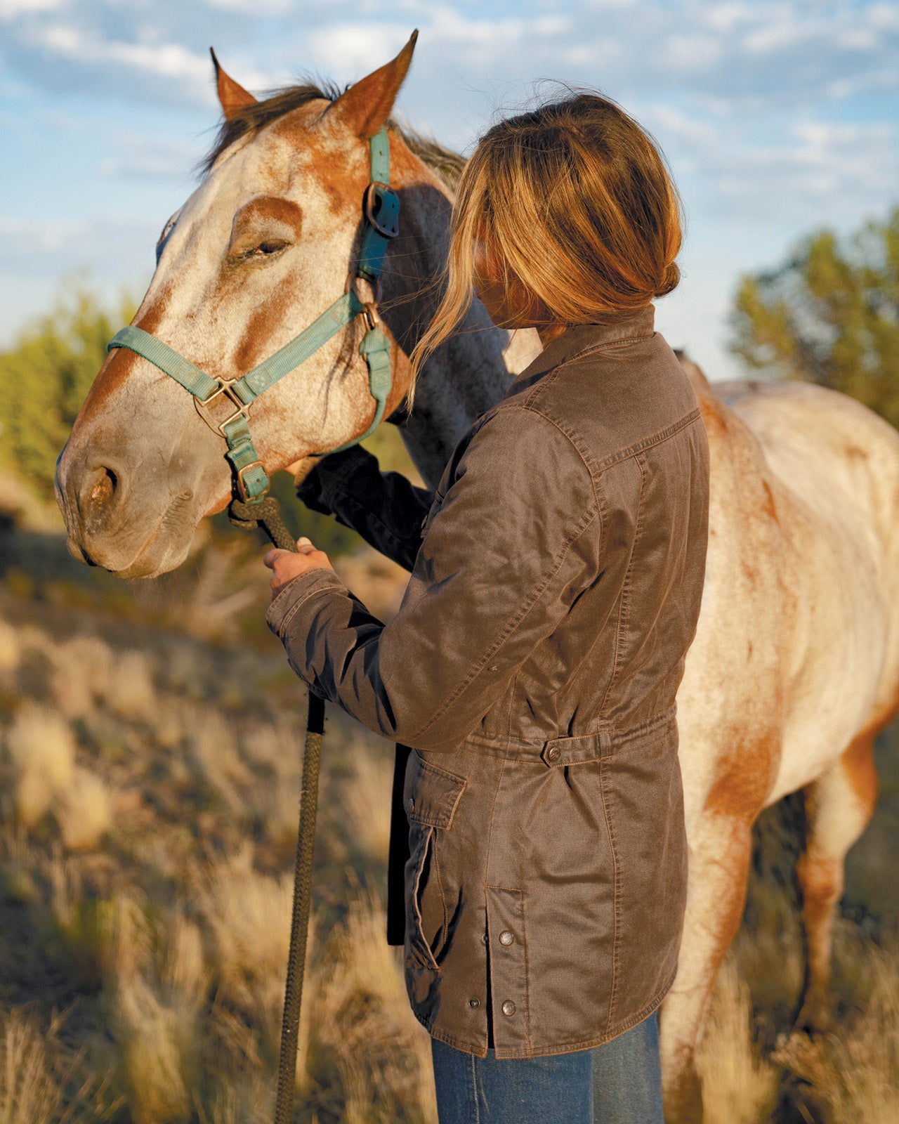 Addison Jacket- Brown 