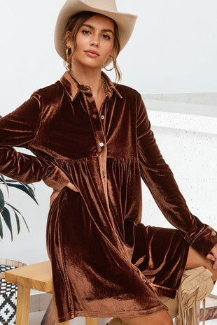 Elena Velvet Button Down Dress 